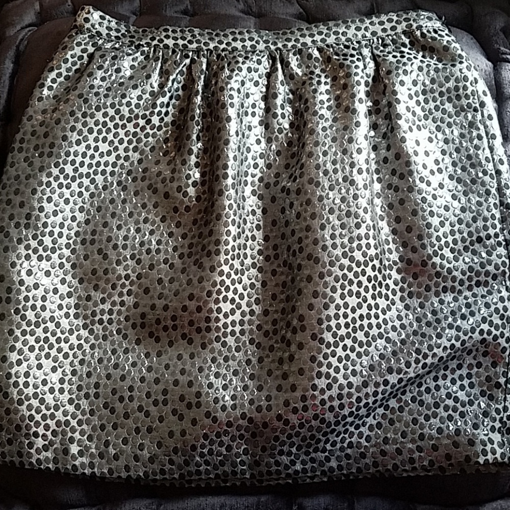 Polka Dot Shimmer Skirt NWOT